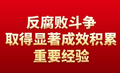 反腐败斗争取得显著成效积累重要经验